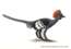 Scientists complete color palette of a dinosaur for the first time